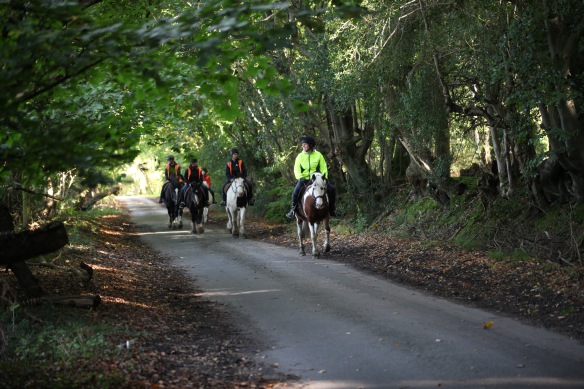 Horse riders on Charles's Lane 6