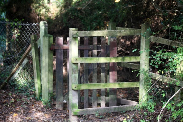 Kissing gate