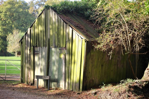Orchard Farm shed