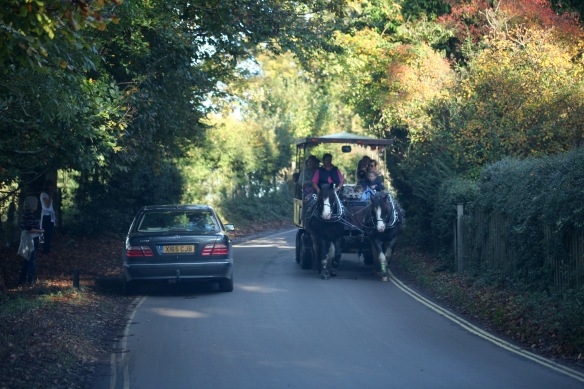 Burley Wagon Rides vehicle