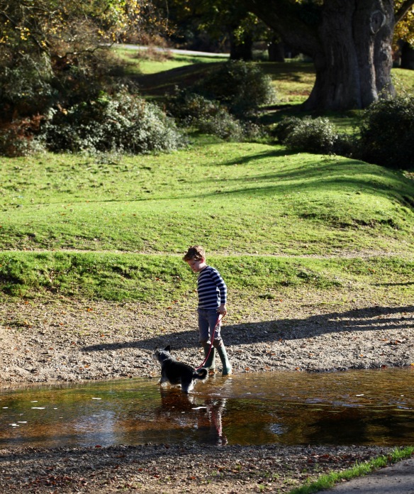 Boy and dog reflected