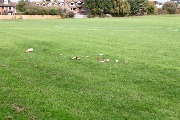 Litter on football pitch