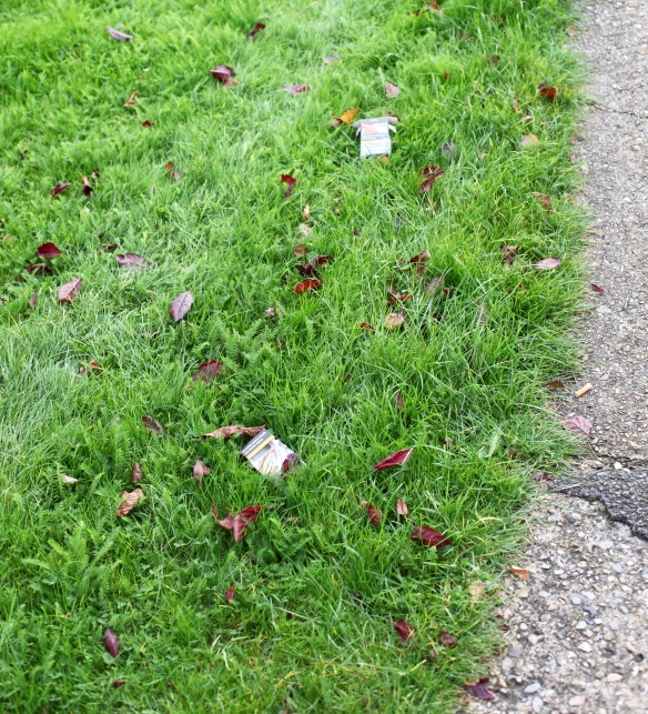 Cigarette packets on grass