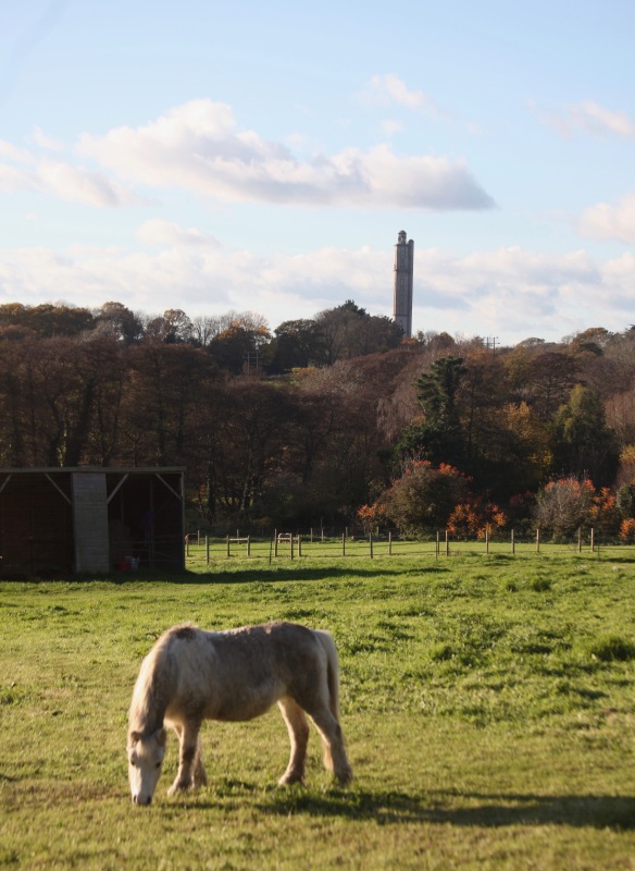Sway Tower and pony