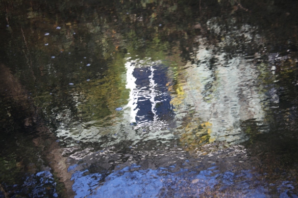Reflections in stream
