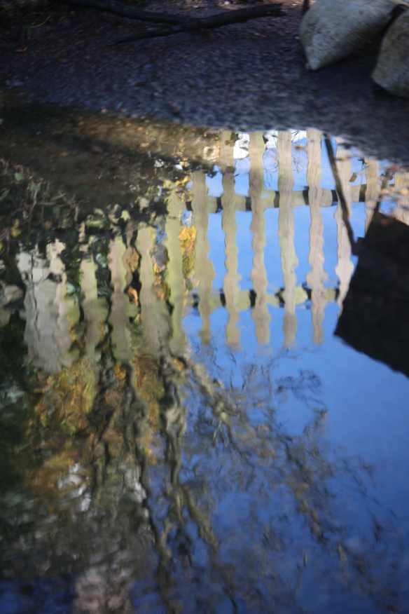 Reflections in stream