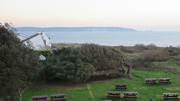 Isle of Wight and garden from Sun Room window