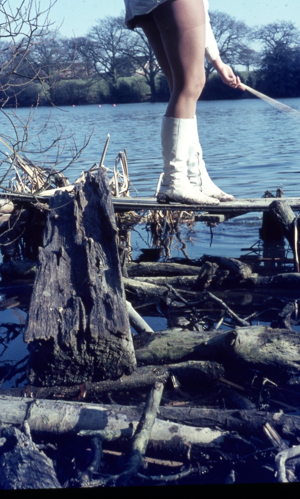 Jackie's legs and driftwood 3.68