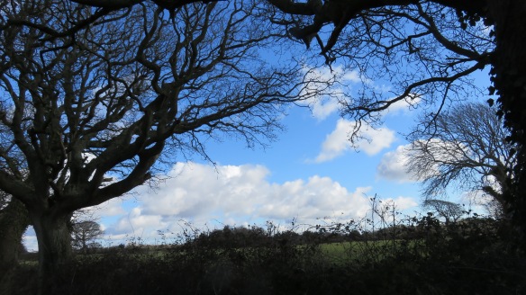 Landscape with bent oak 1