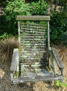 Lichen-covered chair