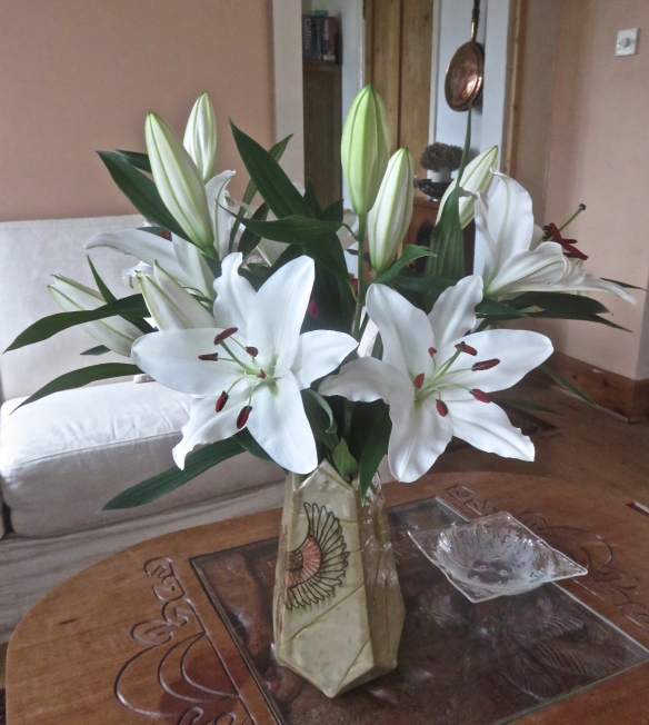 Lilies in Becky's vase