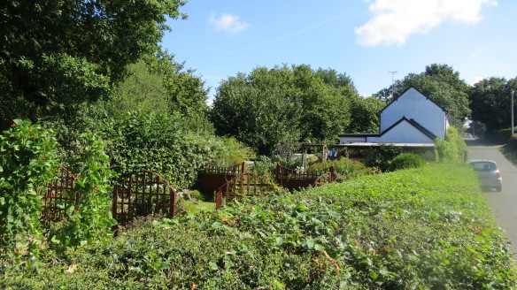 Lyburn Cottage garden