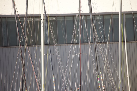 Masts and lines