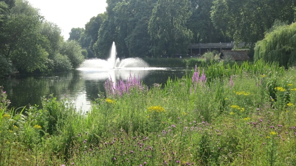 Meadow and fountain