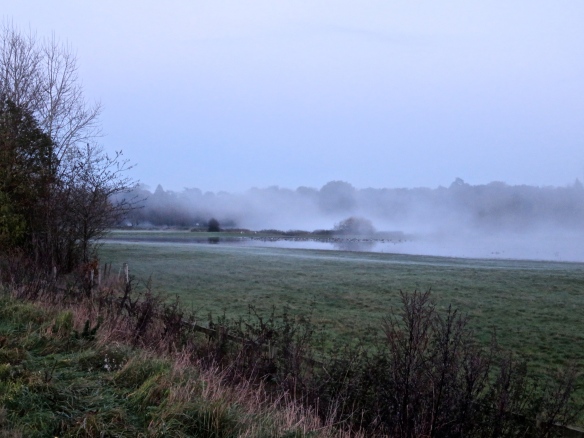 Misty landscape 1