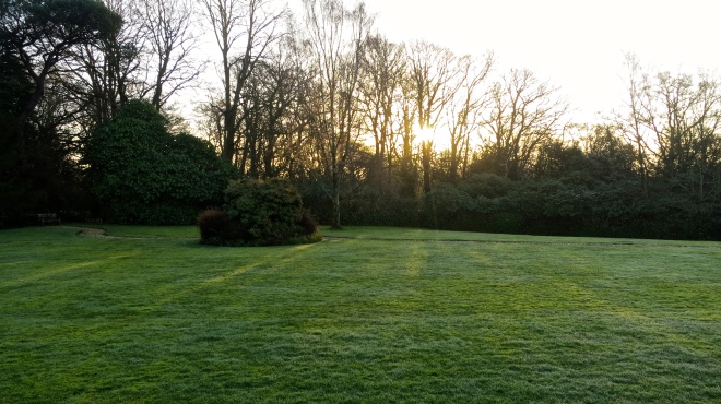 Morning across the lawn