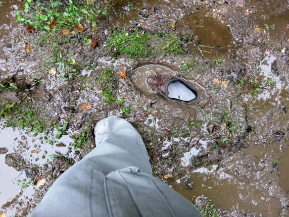 Mud-sucked shoe 10.12