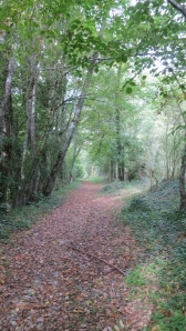 Path from Le Garonnet
