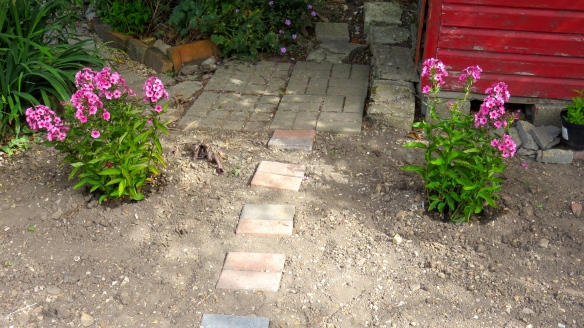 Phlox and stepping stones
