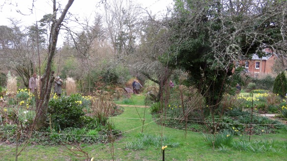 Pilley Cottage Garden 3