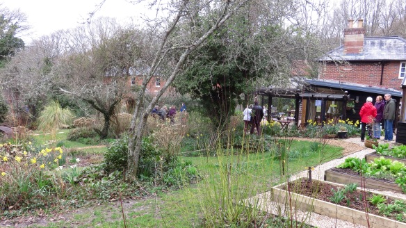 Pilley Cottage Garden 4