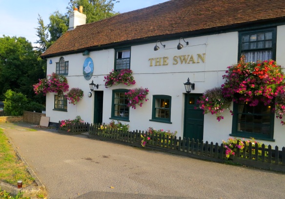 Pint at The Swan