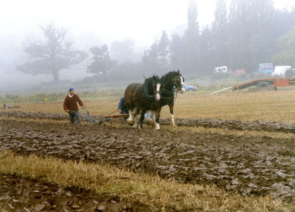 Ploughing contest 26.9.92 001