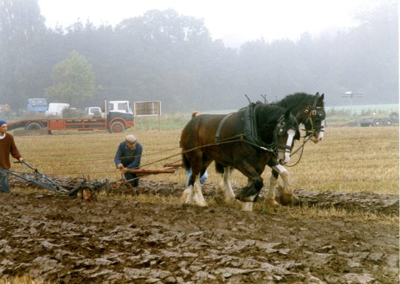 Ploughing contest 26.9.92 002