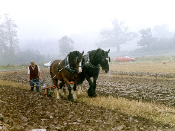 Ploughing contest 26.9.92 003