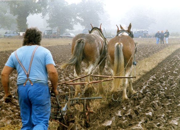 Ploughing contest 26.9.92 006