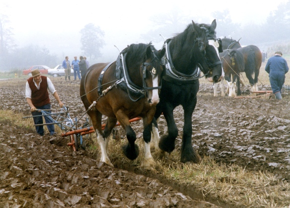 Ploughing contest 26.9.92 007