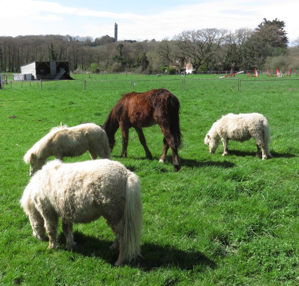 Ponies and Sway Tower 2