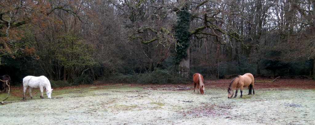 Ponies by twig circle 12.12