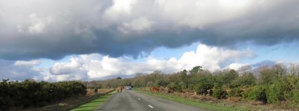 Ponies crossing road