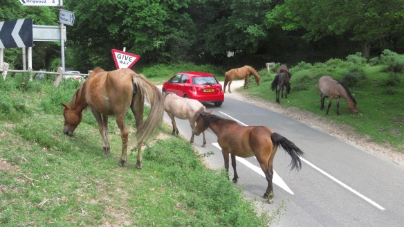 Ponies on road 3