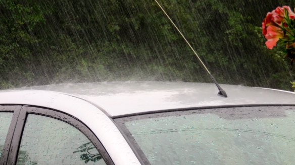 Rain on car roof