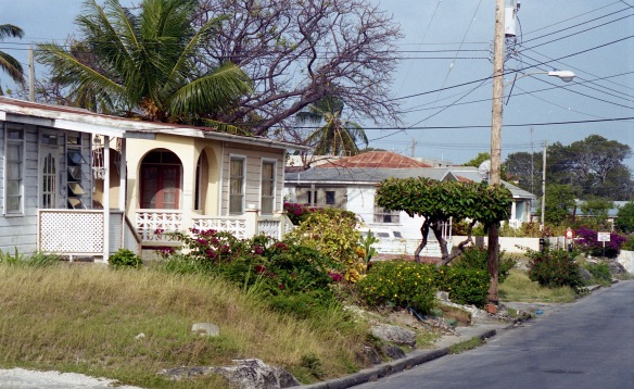 Houses by roadside