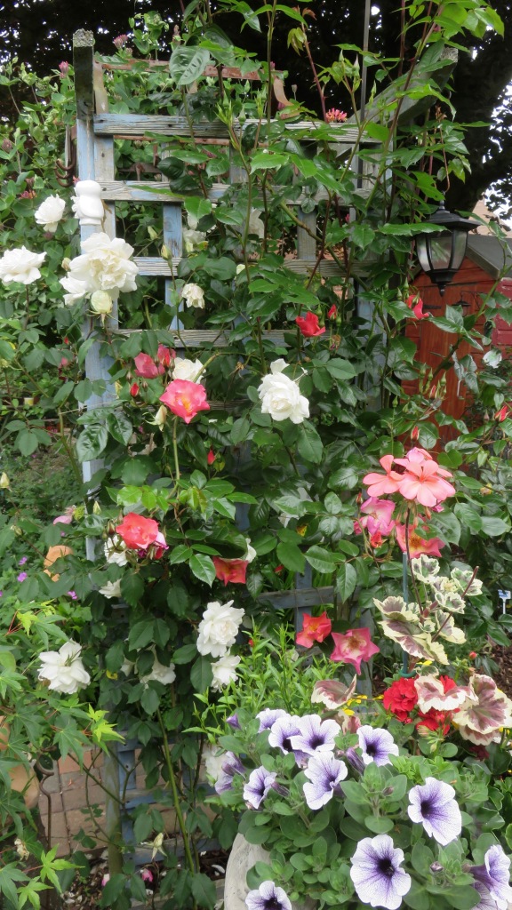 Rose garden entrance