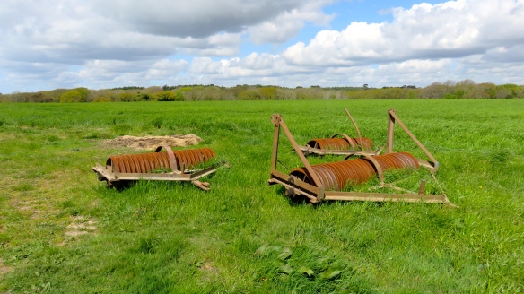 Rusting machinery in field