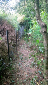 Shrubbery clearance
