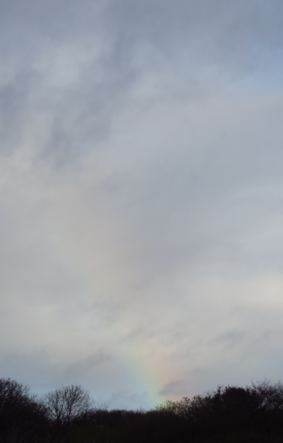 Skyscape with rainbow