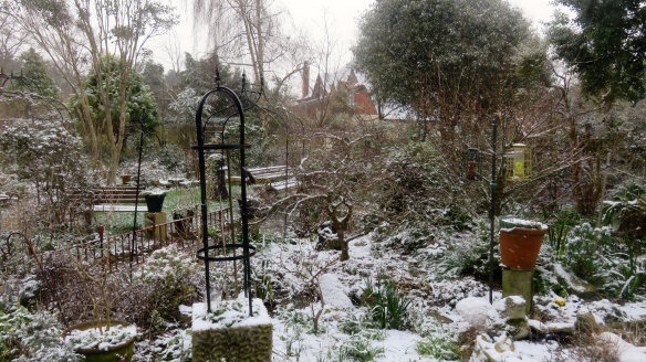 Snow on garden