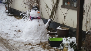 Snowman, Little Thatch 1.13