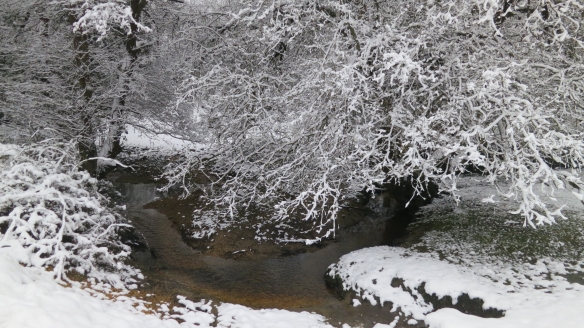 Snowy forest 1.13