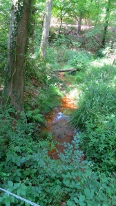 Stream from Millpond