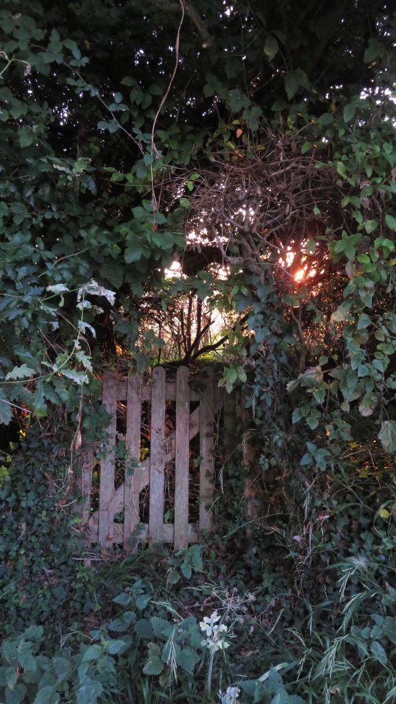 Sunset behind secret garden gate