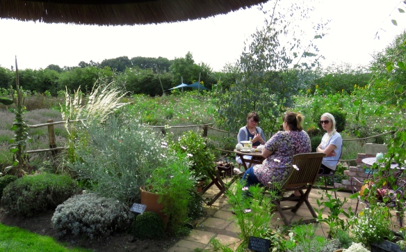 Tea in garden