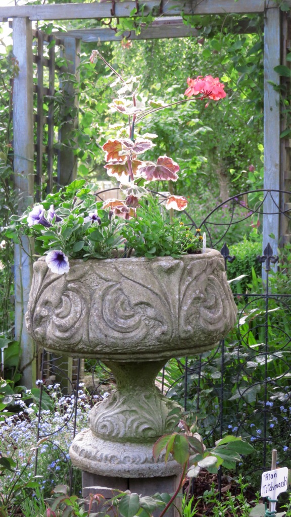 Urn planted up
