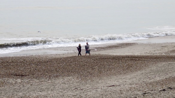 Walkers (Kate, Toby and twins) on beach 2