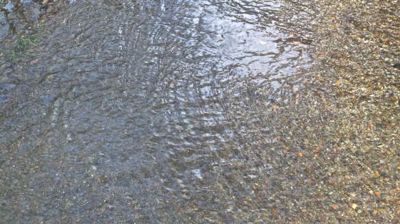 Water ripples on concrete